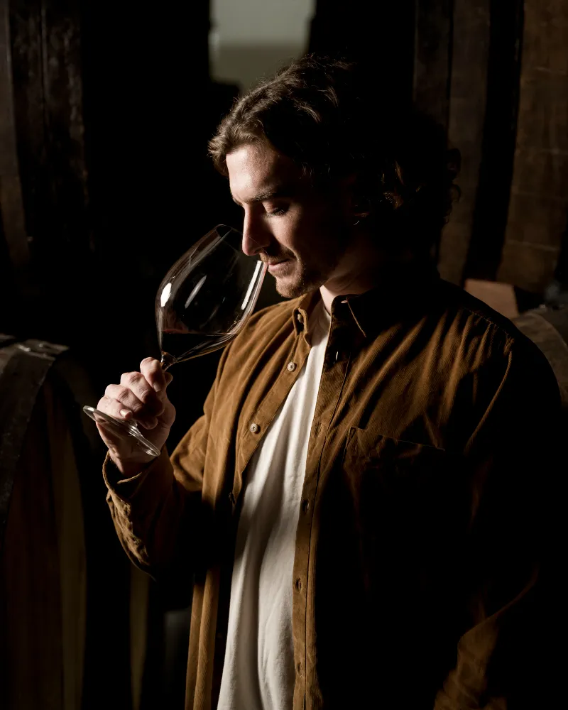 Elaboración de vino con técnicas artesanales paso a paso