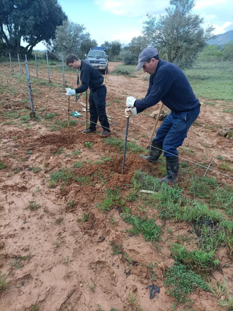 Equipo de trabajo en la tienda de vino Entrepeñas