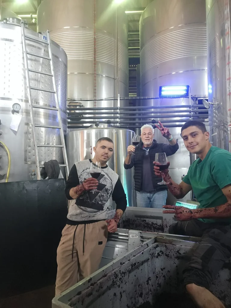 Proceso de elaboración de vino artesanal en bodega